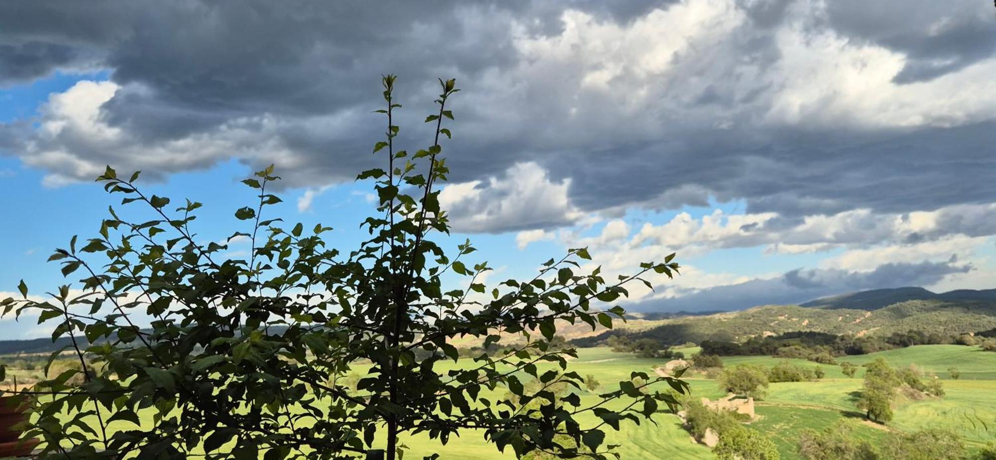 Can Gasol Turisme Rural Guialmons ภายนอก รูปภาพ