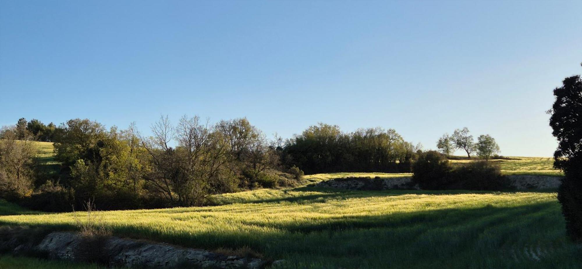 Can Gasol Turisme Rural Guialmons ภายนอก รูปภาพ